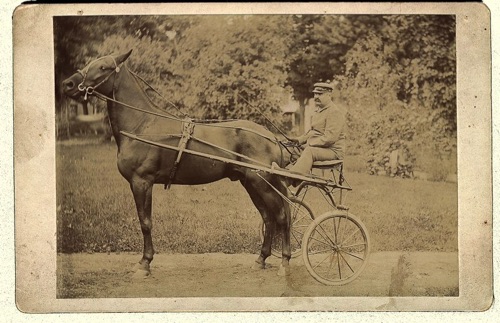 Unknown Trotter. Late 1800s chs-003519